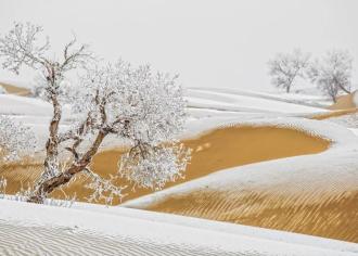 新疆居然下雪了！一组雪景照片惊艳全国，90％的人都没见过！