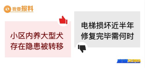 【3月4日“我要报料”有爆料】小区内饲养多只大型犬　转移！