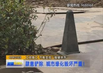 【视频】毁坏绿化　顶格处罚竟然这么多……