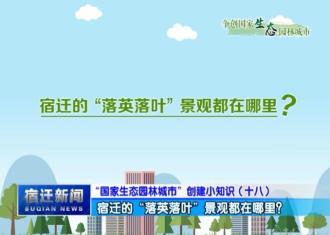 【视频】“国家生态园林城市”创建小知识（十八）：宿迁的“落英落叶”景观都在哪里？