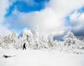 【优秀作品欣赏】雪之梦
