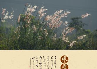 今日寒露