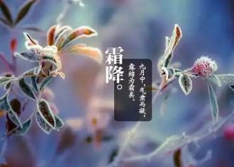 霜降｜秋天的休止符