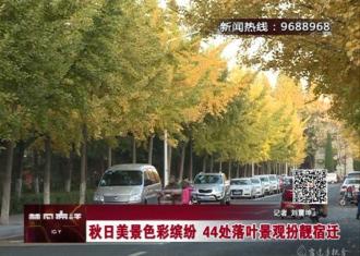【视频】美！44处落叶景观扮靓宿迁　您家附近有吗？