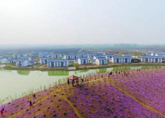 林果飘香生态小镇，泗阳这个地方你去过吗？