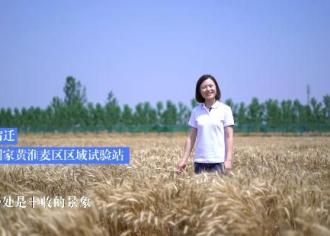 【短视频】3′35″，看宿迁“不一样”的夏收！