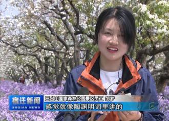 【央视关注】“三台”不止“梨兰美”，还有“矿区→林场→三台山”的生态“归去来”！
