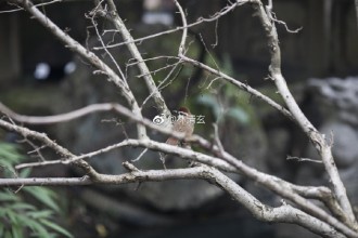林清玄：一杯浊酒送清欢（上）