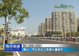 【视频】痛心！市区多处立体绿化遭破坏