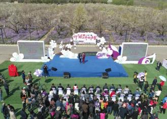 三台山梨兰会、衲田花海同时进入车友最喜爱的江苏春季“十大花海”入围名单！