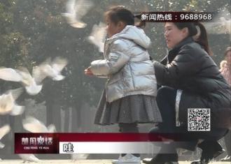 【视频】看！宿迁这个广场飞来一群白鸽　孩子们好开心