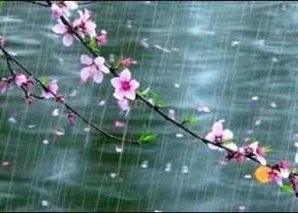 【优秀作品欣赏】春雨连绵