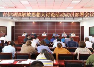 青伊湖镇“五个着力”推进解放思想大讨论