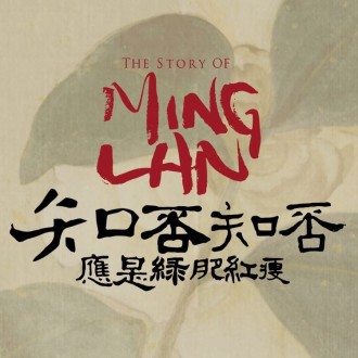 《知否知否　应是绿肥红瘦》（上）
