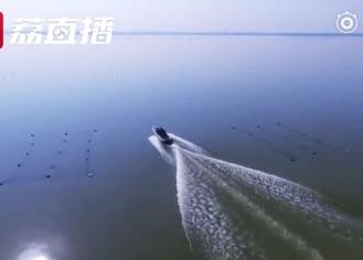【潮起扬子江】骆马湖的银鱼又回来了！渔民：正是记忆中的丰收景象