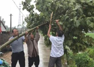 三棵树街道全力做好防汛安全工作