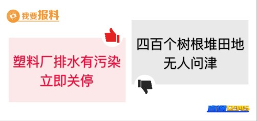 【5月7日“我要报料”有爆料】四百个树根堆田地　无人问津