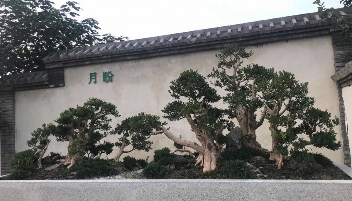 微信图片_20180927165235_看图王.jpg
