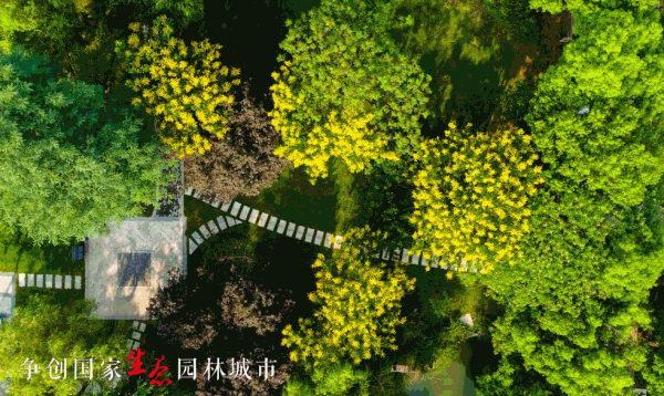 gif 网页.gif