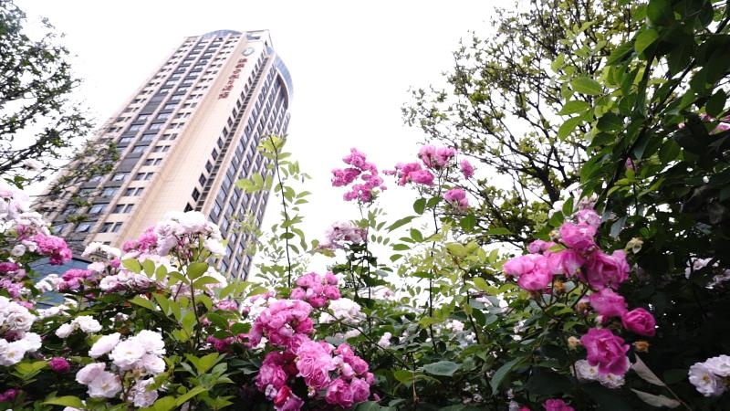 微信图片_201905130939424.jpg