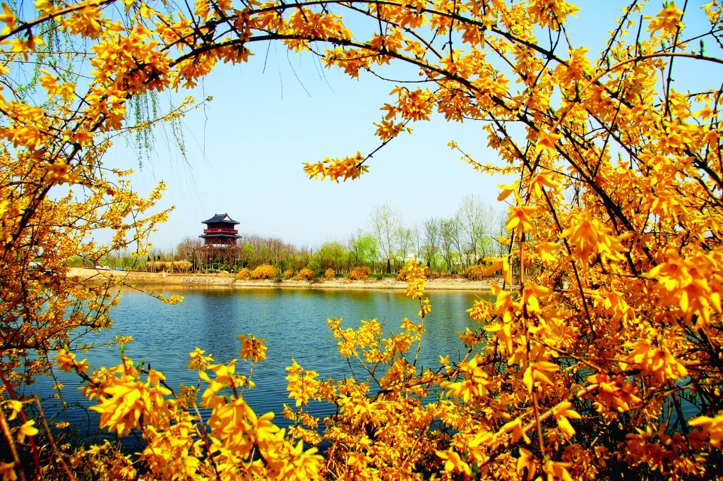 古黄河之春.jpg