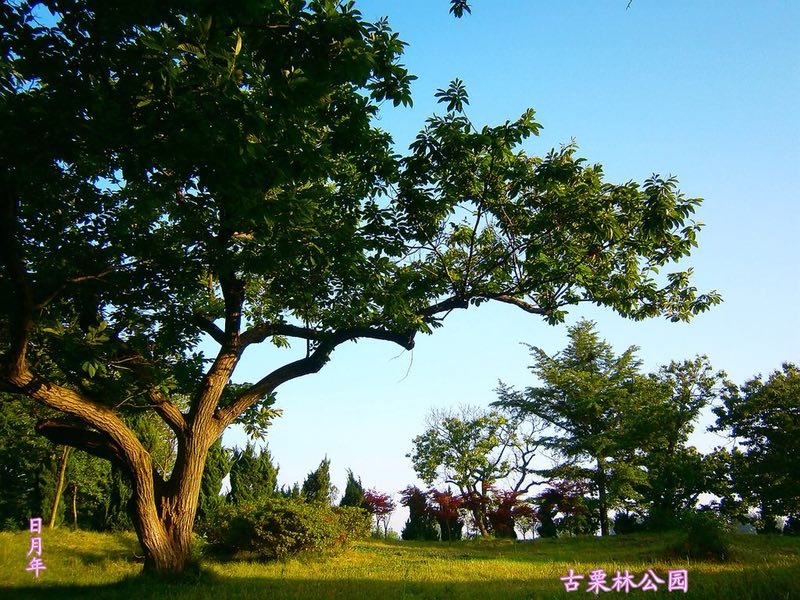 微信图片_20180903181907.jpg