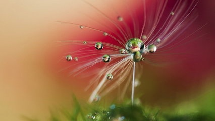 t01a6baff349b789a0c.jpg