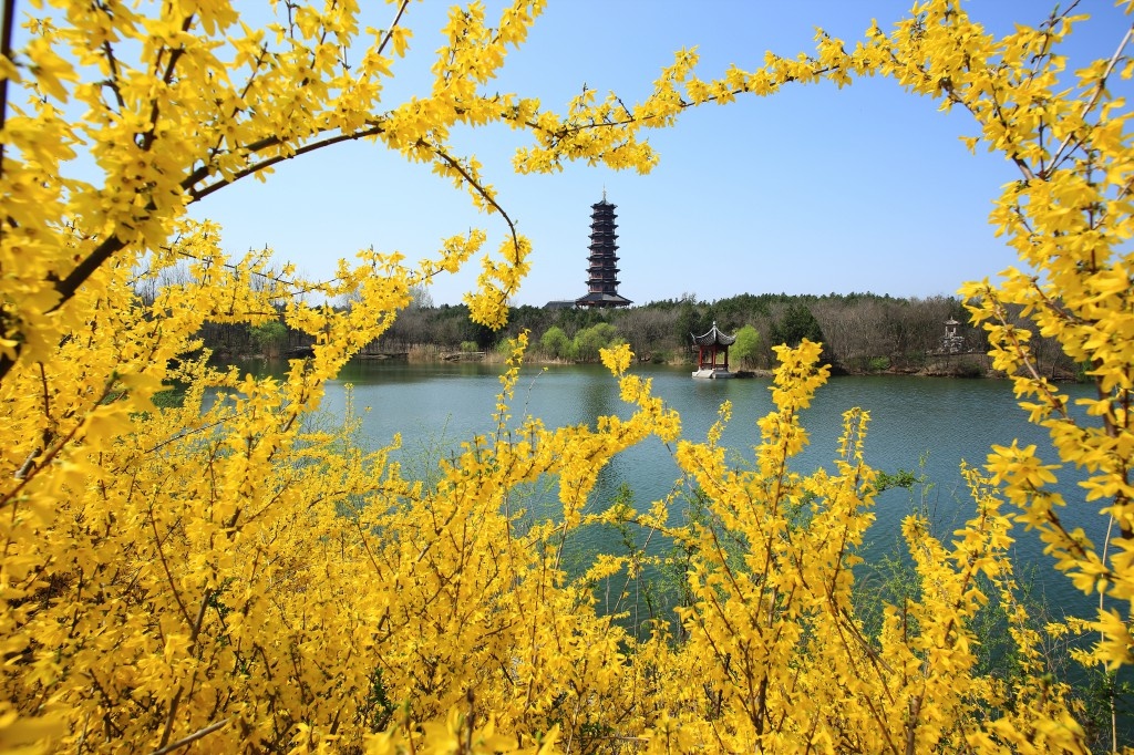 微信图片_20191011113923.jpg